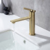 Robinet de lavabo de salle de bain - Chromé, central rotatif, mitigeur monotrou pour salle de bain