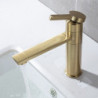 Robinet de lavabo de salle de bain - Chromé, central rotatif, mitigeur monotrou pour salle de bain