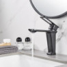 Mitigeur lavabo - Monobloc monocommande monotrou pont monté avec flexible eau chaude et eau froide