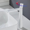 Mitigeur lavabo haut, mitigeur lavabo monobloc monocommande monotrou avec flexible eau chaude et froide en laiton