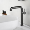 Robinet lavabo - Rotatif/Rétractable/Classique Chrome/Nickel Brossé/Plaqué, Mitigeur un Trou au Centre pour Salle de Bain