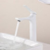 Robinet lavabo - Style Classique Plaqué, Mitigeur un Trou au Centre pour Salle de Bain