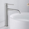 Mitigeur de lavabo en acier inoxydable, design élégant avec flexible d'eau chaude et froide, idéal pour lavabo vasque