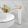 Robinet de lavabo cascade haut de gamme, design moderne avec tuyau d'eau chaude et froide, robinet monotrou monté sur le pont