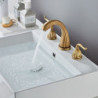 Robinet mitigeur d'évier de salle de bain répandu, design fonctionnel à trois trous et deux poignées avec tuyau d'eau chaude et froide