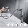 Robinet lavabo rétractable avec spray démontable, plaqué et finitions peintes, set de centre mitigeur à un trou pour salle de bain en laiton